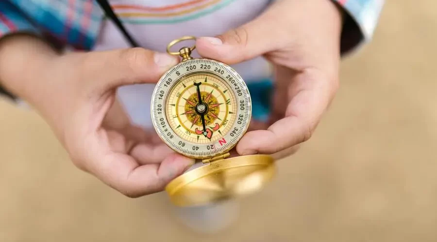 pexels-rdne-8082893 (1)